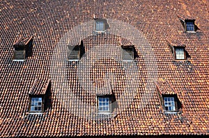 Old medieval roof with dormers.
