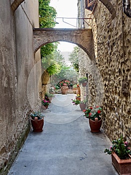 Old medieval town