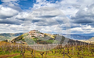 Old mediterranean town Motovun.