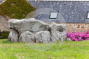 an old menhir in a garden