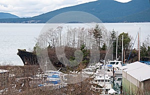 Old merchant ship overgrowth in Anacortes, Washington