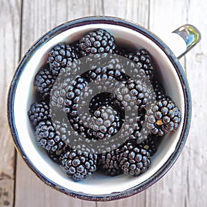 Old Metal Cup Full of Fresh Sweet Blackberries