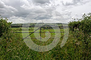 old metal farm gate with weeds growing