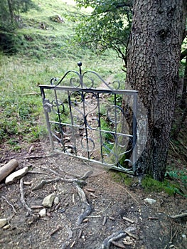 Old metal gate mounted on tree