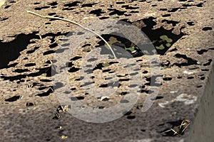 Old metal iron rust background