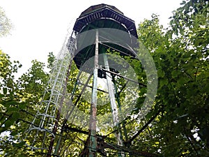 Old metal ladder and tower in forest with trees