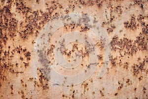 Old metal rusty texture.  Abstract brown grunge iron background