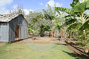 Old metal shed in tropics