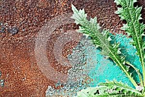 Old metal surfaces covered with rust and paint residue. Rust patterns as base and background.