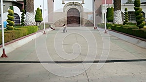 Old Mexican church entrance surrounded by bushes and two palm trees