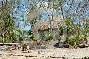 Old mexican village