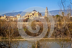 Old Mezquita Cathedral of Cordoba city above Guadalquivir river in Andalusia, Spain