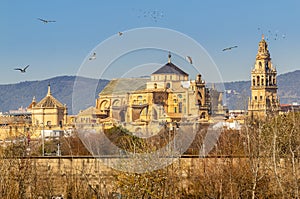 Old Mezquita Cathedral of Cordoba city above Guadalquivir river in Andalusia, Spain