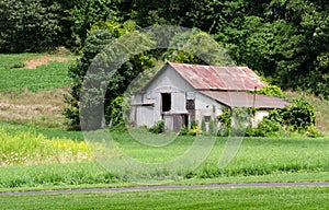 Old Michigan barn in a field