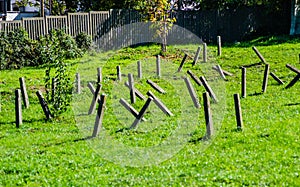 The old military cemetery at TranÅ¾ament, Petrvovaradin