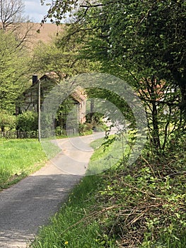 old mill in the forest of odes
