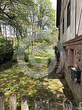 old mill in the forest of odes