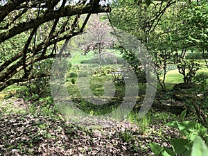 old mill in the forest of odes