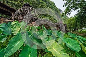 Old mill wooden water wheels in China