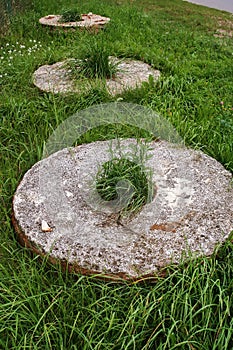 Old millstone on green grass