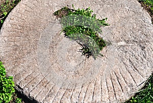 Old millstone lying in the grass