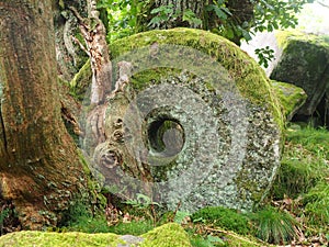 Old millstone in Padley Gorge, an ancient woodland in the Peak District, Northern England