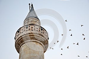 Old Minaret And Flying Pigeons, Antakya, Hatay, Turkey (2013) photo