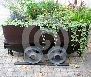 Old mine cart as a decorative flower pot