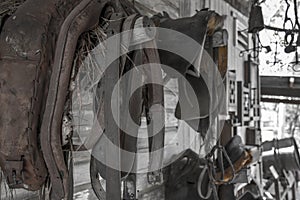 Old Mining Town Horse and Sadle