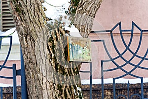 An old mirror with peeling amalgam hangs on a tree in the park