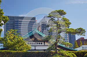 The old and modern buildings as seen from the territory of Tokyo Imperial Palace. Japan