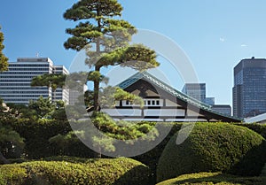 The old and modern buildings as seen from the territory of Tokyo Imperial Palace. Japan