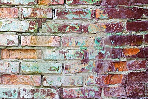 Old mold brick wall