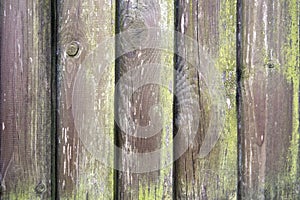 Old molded wooden fence overgrown with green moss