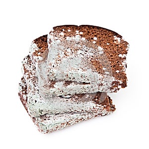 Old moldy bread