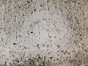 Old moldy with small holes in the stone. Grunge background photo