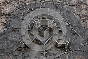 Old monogram M overgrown with climbing plants in Berlin, Germany