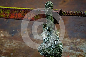 old mooring rope hanging on a rusty railing. Old rusty ship arrived at the port for recycling. Big knot close up