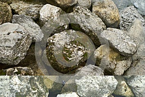 Old moss covered river stones background texture