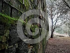 An old moss ridden wall