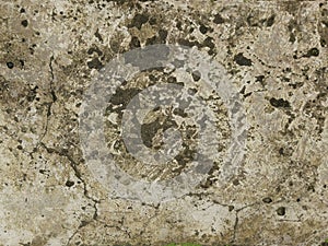 Old mossy concrete texture or background