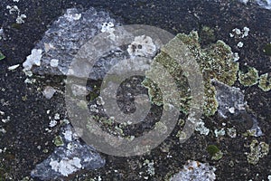 Old mossy stone close up. texture, background