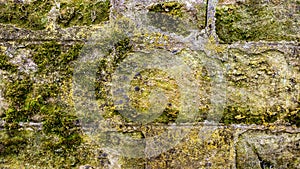 Old mossy wall