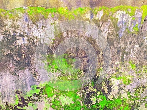 Old mossy wall in rainy season
