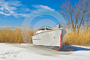 An old motor launch on a rushy river.