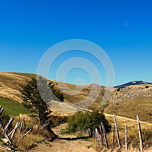 An old mountain road with an old fence, a tree on the side and mountain peaks in the distance. Bjelasnica Mountain