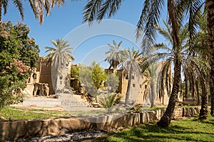 Old mud houses and palm tree in the old village of Al Hamra photo
