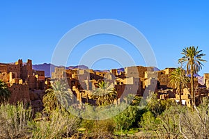 Old mud houses and palm trees, Tinghir