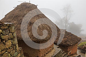 Old mushroom house photo