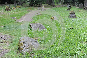 Old muslim cemetery in the village of Kruszyniany, in Podlaskie Voivodeship, in eastern Poland where Tatars live